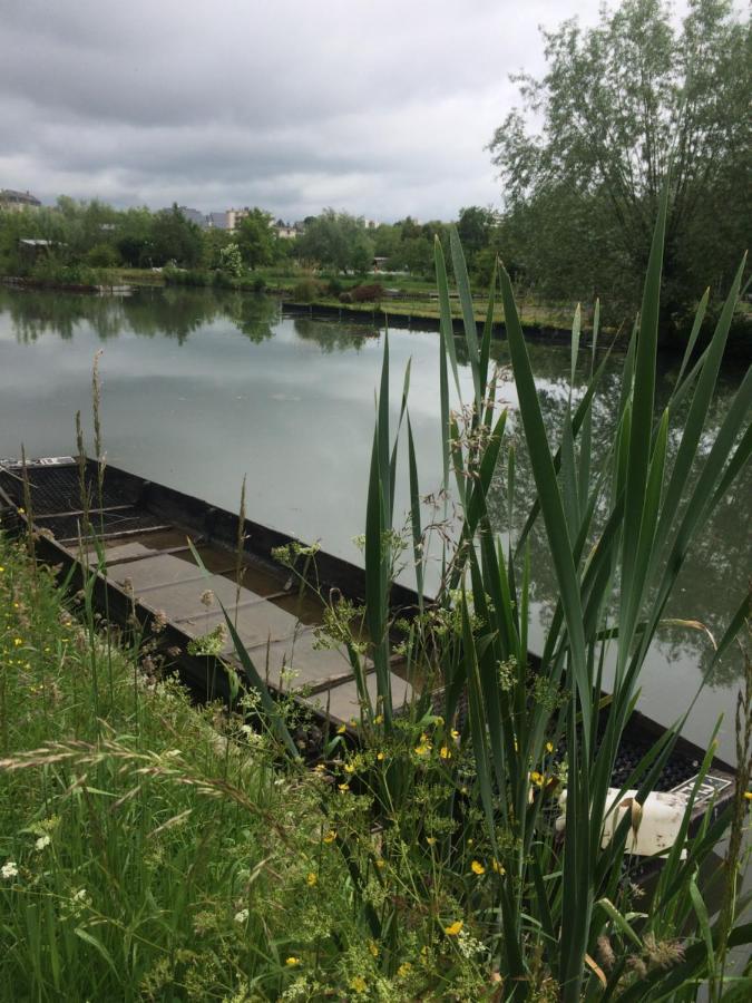 Appart Opale Rdc - Parking Gratuit- Netflix Bourges Bagian luar foto